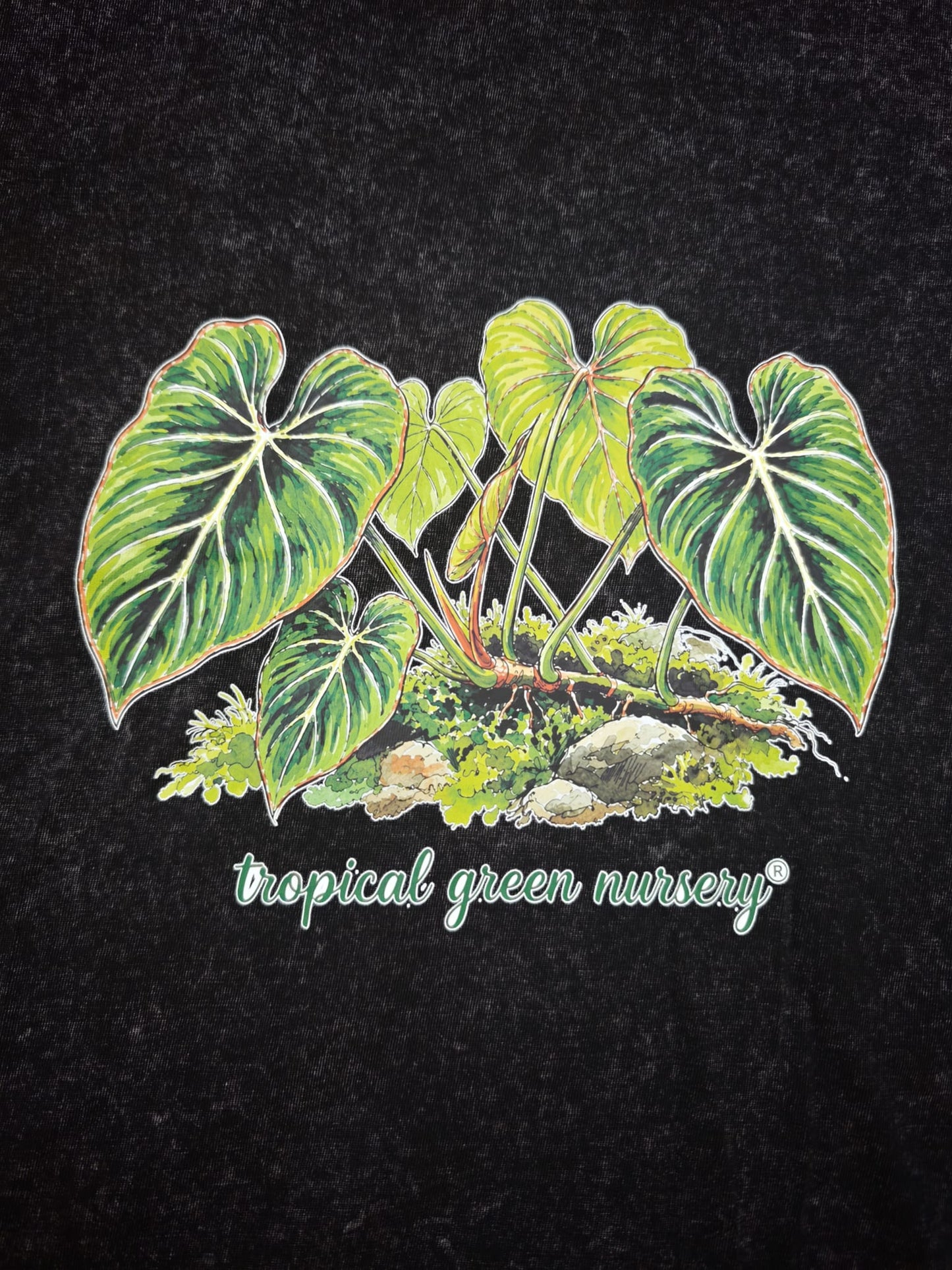 Philodendron gloriosum t-shirt.